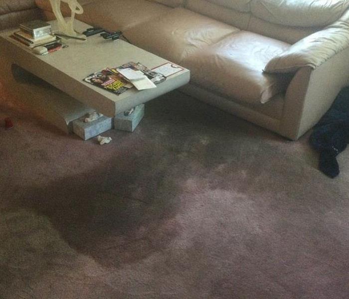 carpet water damage in Levittown, PA