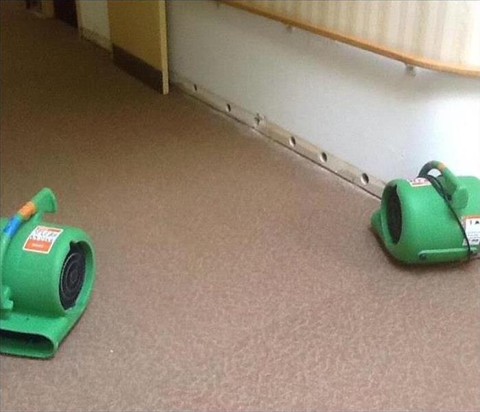 air movers placed on carpet