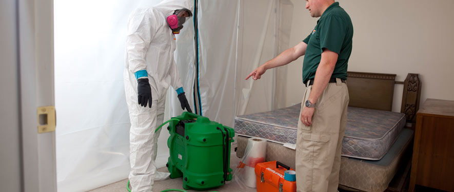 Levittown, PA mold removal process
